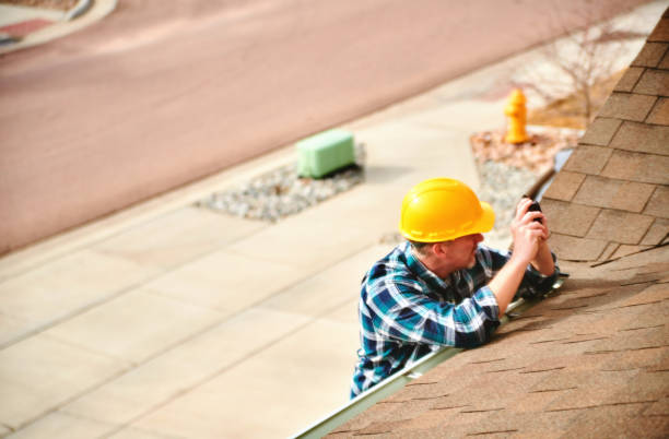 Best Roof Gutter Cleaning  in Newton Falls, OH