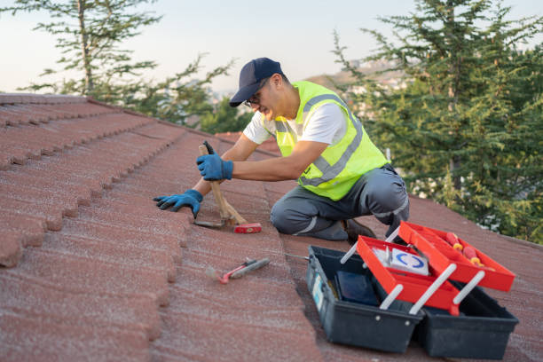 Best Roof Repair Services  in Newton Falls, OH