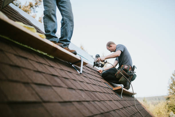 Best Metal Roofing Contractor  in Newton Falls, OH