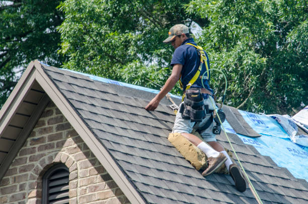 Best New Roof Installation  in Newton Falls, OH